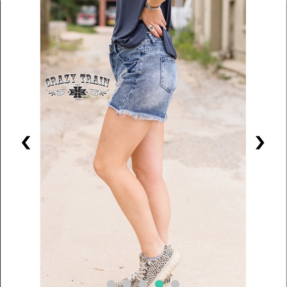 The Denim Dan Shorts - Picture 4 of 4